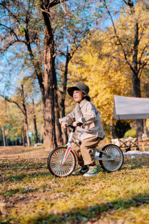 Bicicleta de echilibru pentru copii Kinderplay Explorer Bike, 2-5 ani, roti moi din spuma 12inch, bej [10]