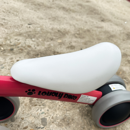 Premergator si bicicleta fara pedale, LoveLy Bike pentru copii 18-30 luni, roti EVA, roz [7]