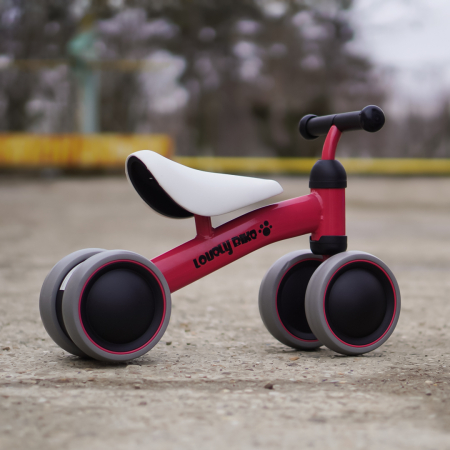 Premergator si bicicleta fara pedale, LoveLy Bike pentru copii 18-30 luni, roti EVA, roz [3]