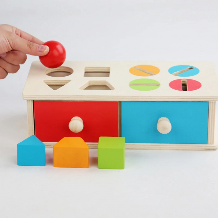Cutie Montessori pentru clasificarea formelor [3]