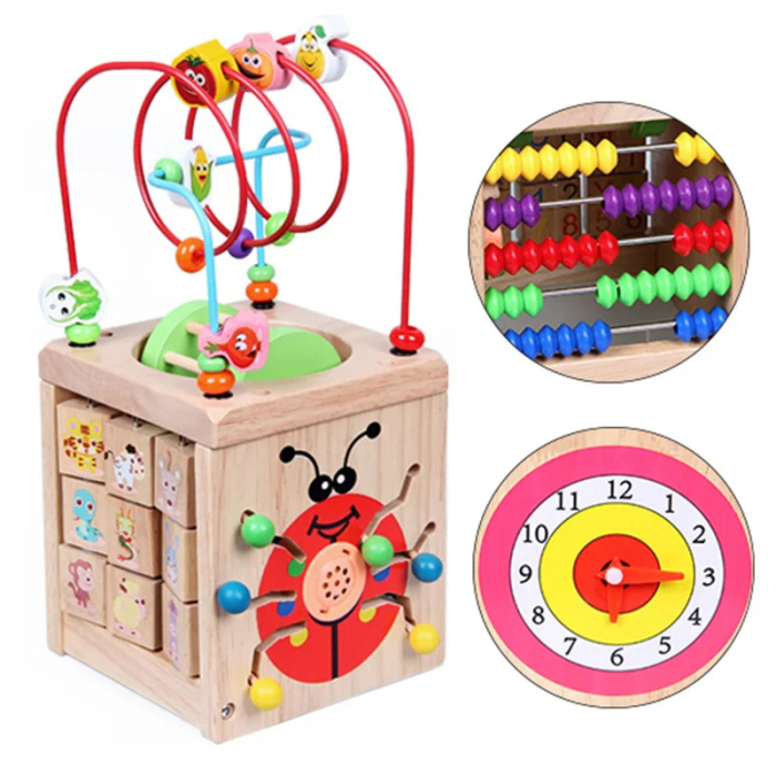 Centru Activitati 5 in 1 Buburuza [6]
