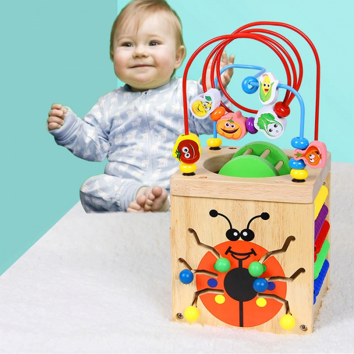 Centru Activitati 5 in 1 Buburuza [9]