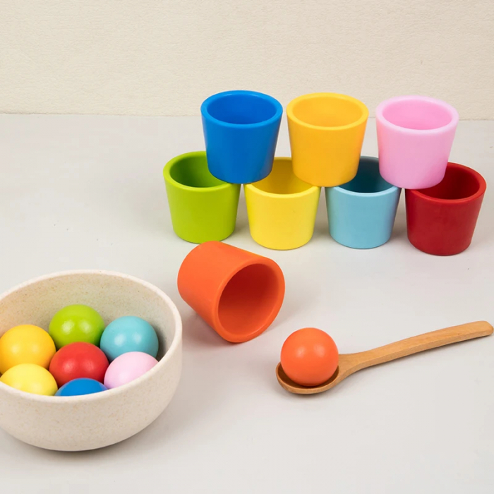 Joc de Clasificare Montessori : Cupe si Bile Colorate [6]