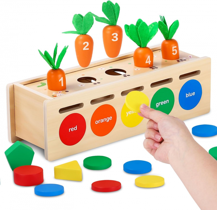 Joc educativ Montessori Morcovi: sorteaza si asociaza forme si culori [8]