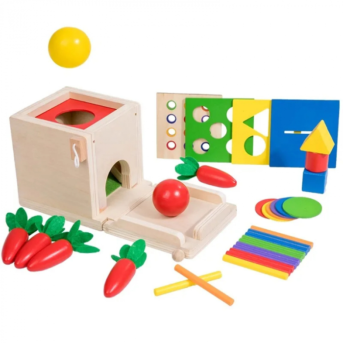 Jucarie Montessori 4 in 1 - Cutie din Lemn pentru Coordonare si Motricitate [11]