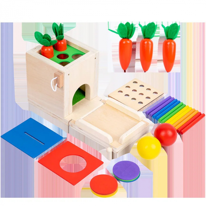 Jucarie Montessori 4 in 1 - Cutie din Lemn pentru Coordonare si Motricitate [6]