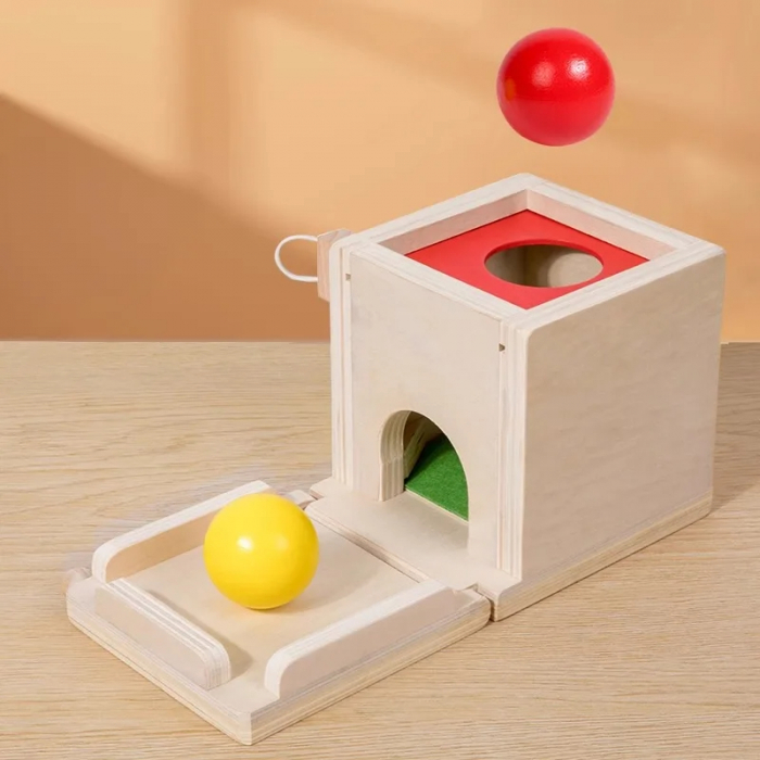 Jucarie Montessori 4 in 1 - Cutie din Lemn pentru Coordonare si Motricitate [12]