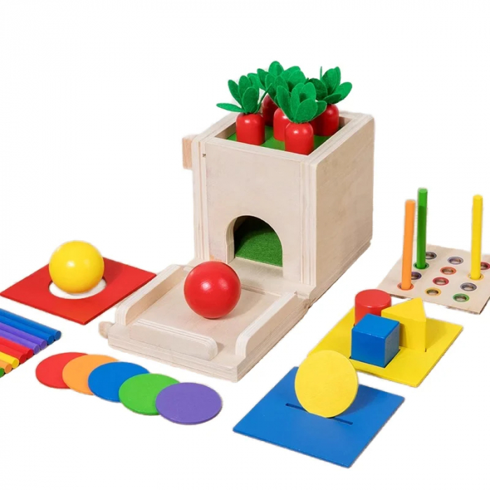 Jucarie Montessori 4 in 1 - Cutie din Lemn pentru Coordonare si Motricitate [2]
