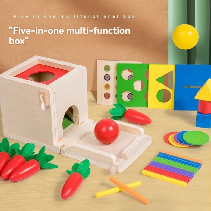Jucarie Montessori 4 in 1 - Cutie din Lemn pentru Coordonare si Motricitate [10]