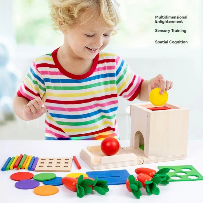 Jucarie Montessori 4 in 1 - Cutie din Lemn pentru Coordonare si Motricitate [7]