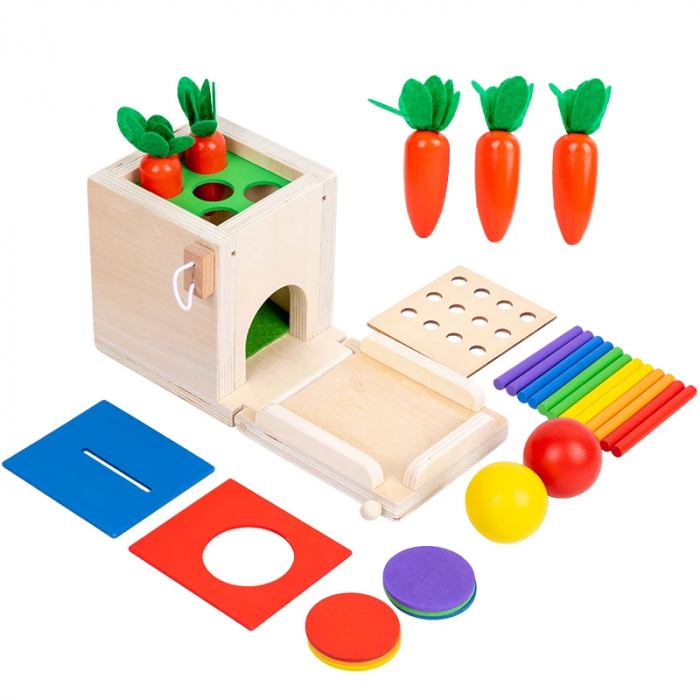 Jucarie Montessori 4 in 1 - Cutie din Lemn pentru Coordonare si Motricitate [1]