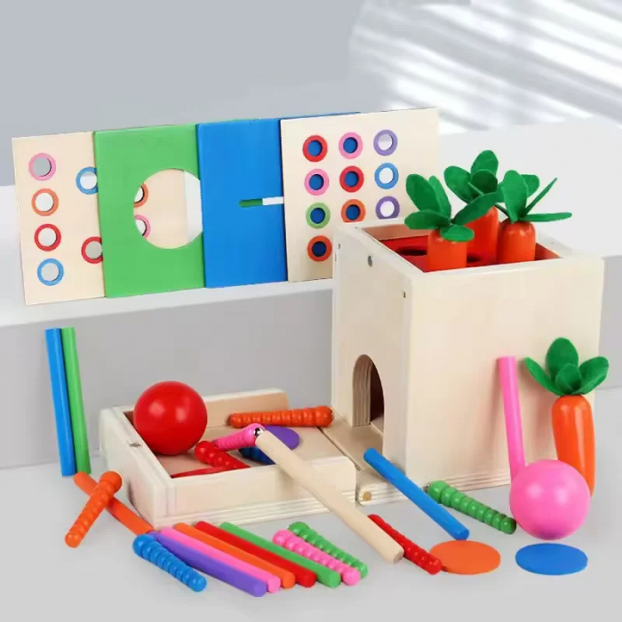 Jucarie Montessori 4 in 1 - Cutie din Lemn pentru Coordonare si Motricitate [4]