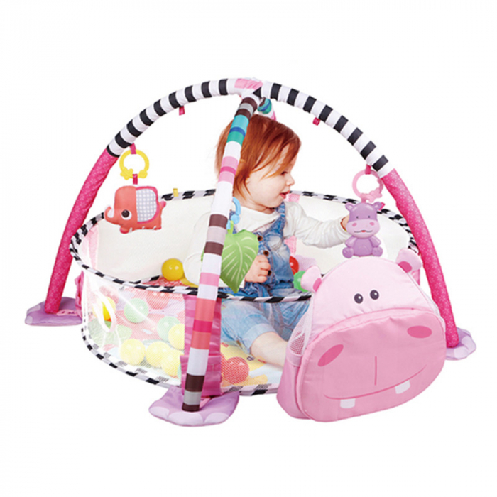 Salteluta activitati bebe 3 in 1 [1]