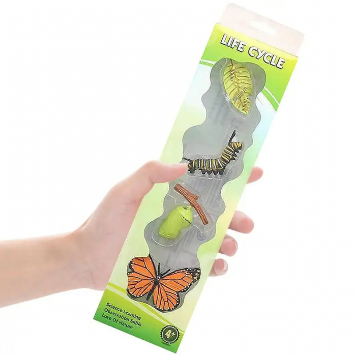 Set Educativ Ciclu de Viata al Fluturelui – Invatarea Naturii prin Joaca [1]