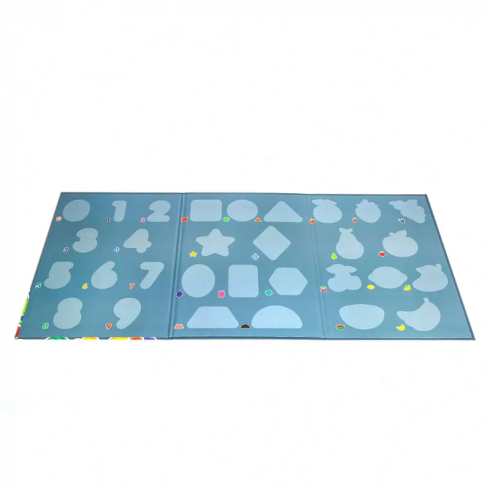 Set Magnetic Educativ pentru Copii - Fructe si Forme, 3+ [3]