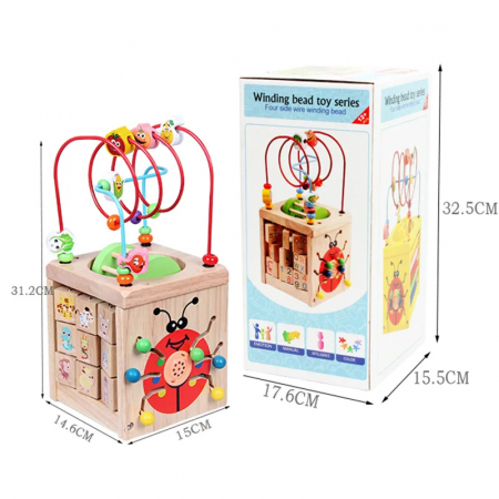 Centru Activitati 5 in 1 Buburuza [6]