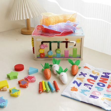 Cutie de Sortare Forme si Activitati Multiple [1]