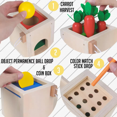 Jucarie Montessori 4 in 1 - Cutie din Lemn pentru Coordonare si Motricitate [13]