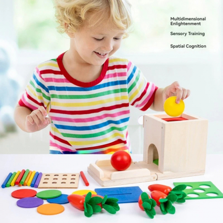 Jucarie Montessori 4 in 1 - Cutie din Lemn pentru Coordonare si Motricitate [6]