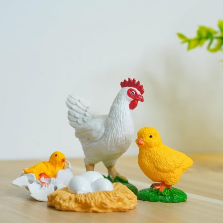Set Educativ Ciclu de Viata al Gaiinii – Invatarea Naturii prin Joaca [1]