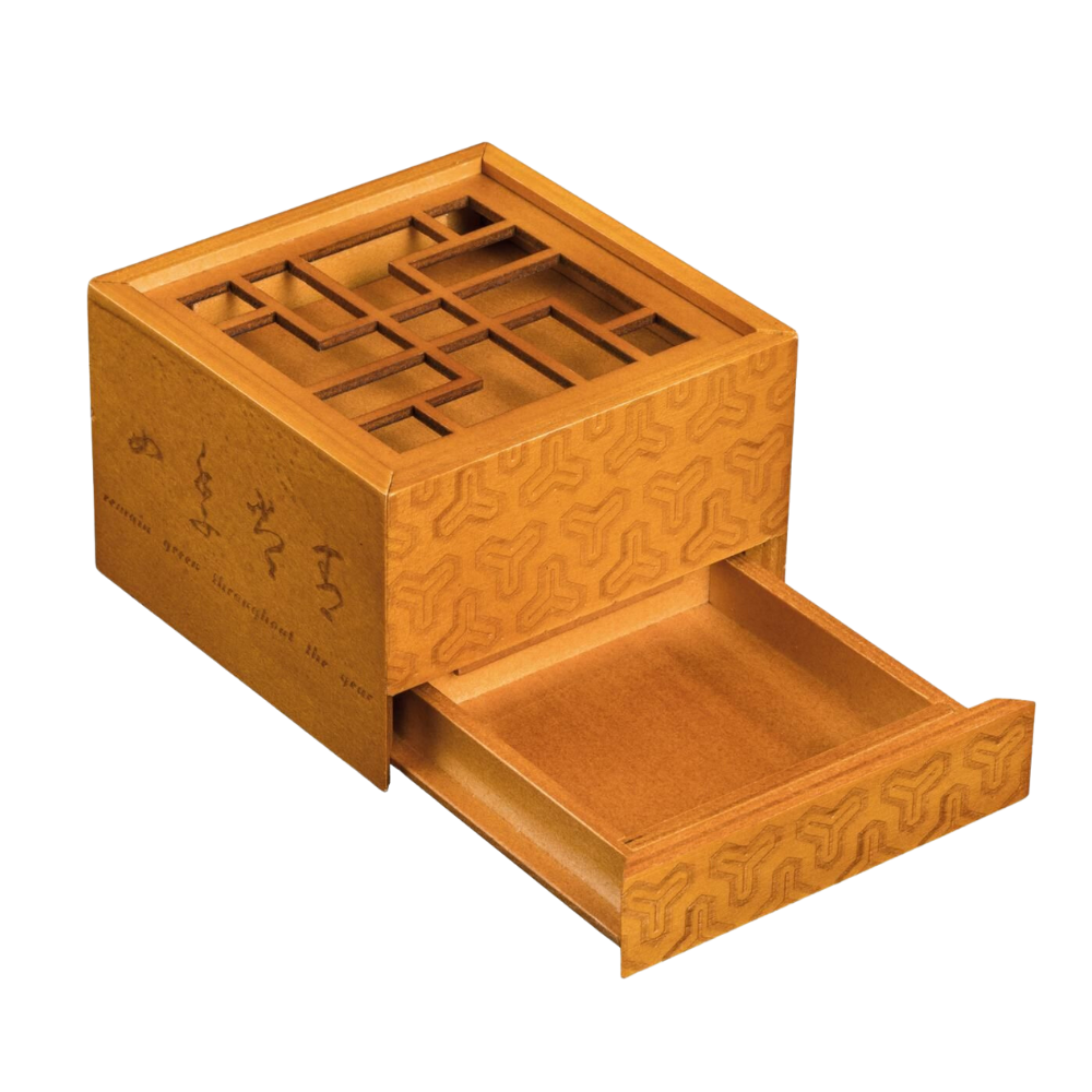 Logikai játék - Secret Box Treasure [2]