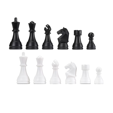DGT CHESS BOX [1]