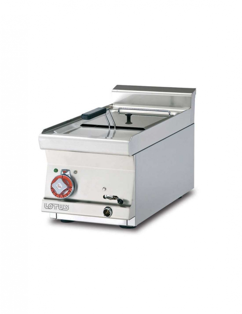 Friteuza electrica 10 litri [1]