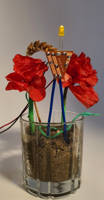 Senzor de umiditate pentru florile mamei [7]