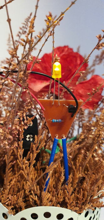 Senzor de umiditate pentru florile mamei [8]