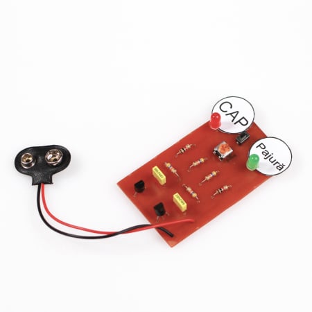 Cap sau pajură... electronic! [3]