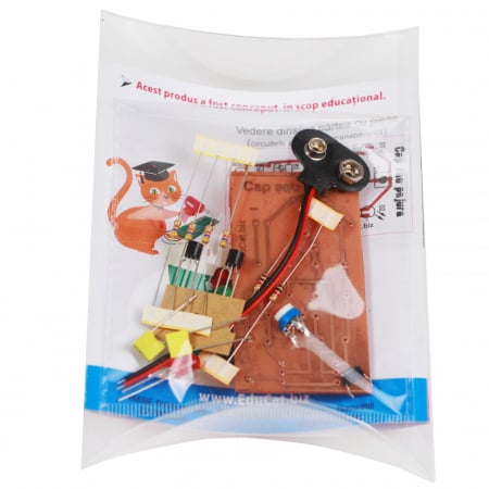 Cap sau pajură... electronic! [1]