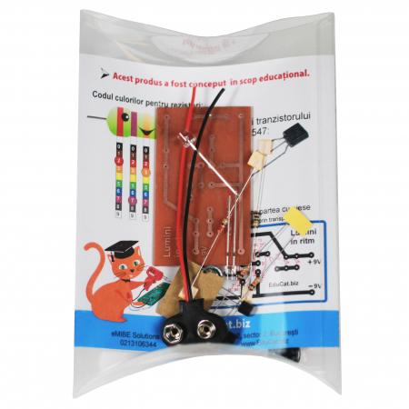 Lumini în ritmul muzicii [1]