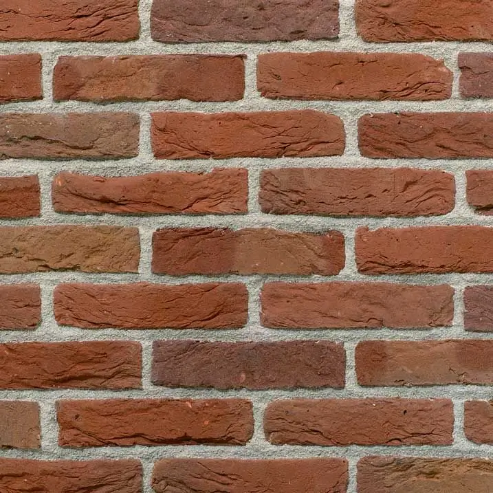 Caramidă Aparentă - Placaj Caramida Aparenta Artiza Maaseiker Bont 210 x 65 x 23mm