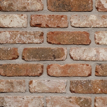 Caramidă Aparentă - Placaj Caramida Aparenta Belle Epoque de Liege 215 x 65 x 23mm
