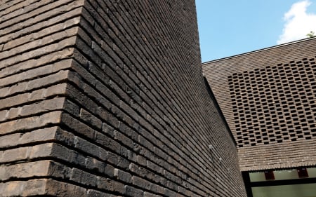 Placaj Caramida Aparenta Forum Ombra 215 x 65 x 23mm [2]