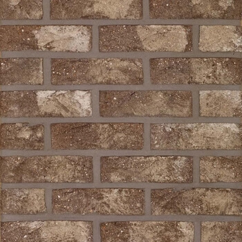 Caramidă Aparentă - Placaj Caramida Aparenta Patrimonia Oud Romaans 215 x 65 x 23mm