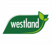 Westland