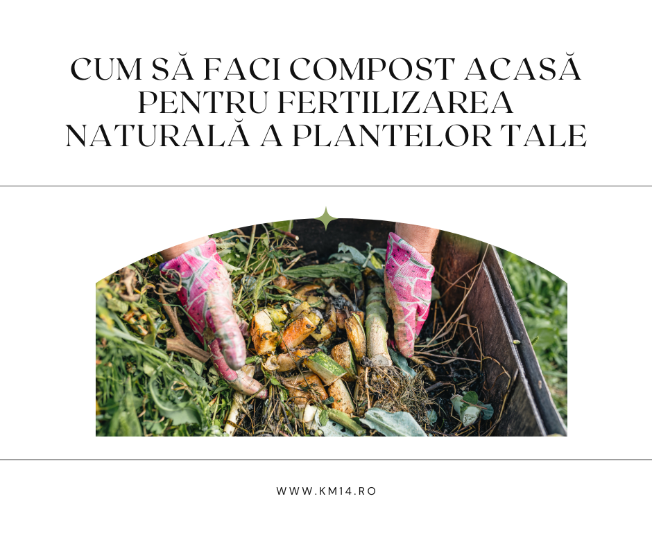 Cum Să Faci Compost Acasă pentru Fertilizarea Naturală a Plantelor Tale