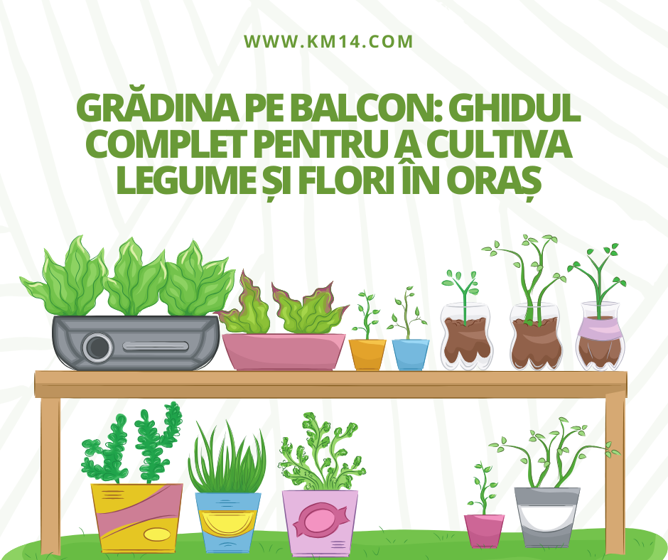 Grădina pe Balcon: Ghidul Complet pentru a Cultiva Legume și Flori în Oraș
