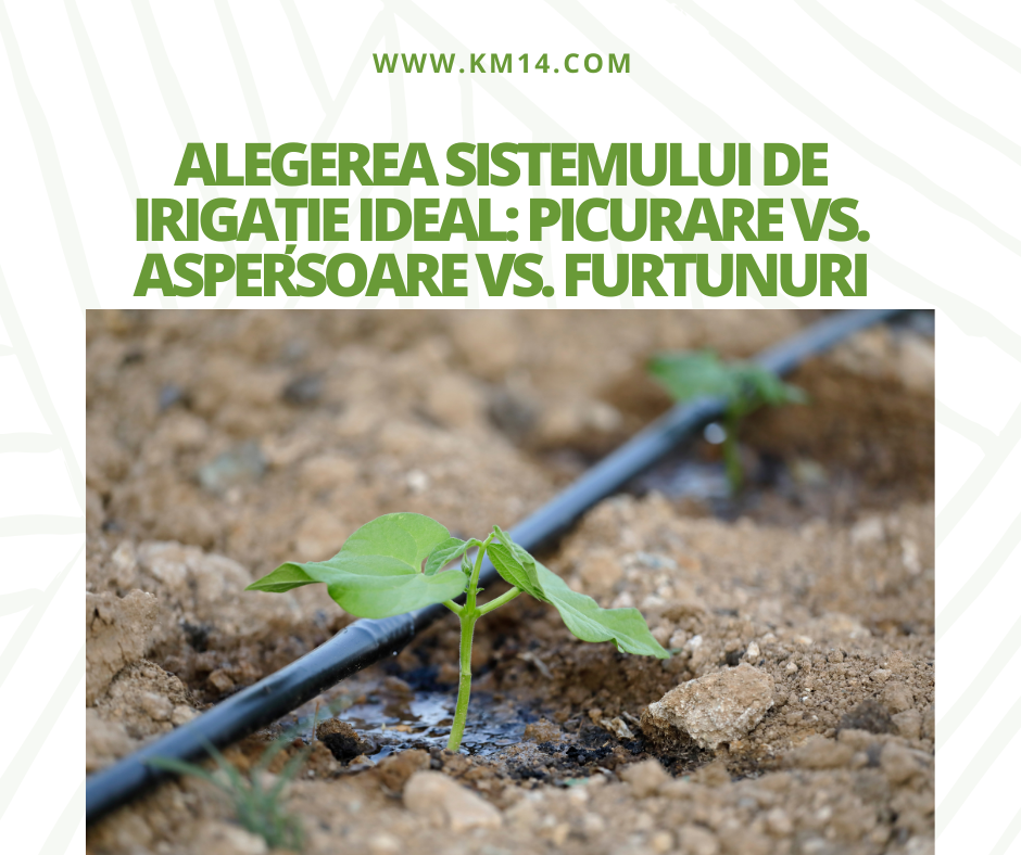 Alegerea Sistemului de Irigație Ideal: Picurare vs. Aspersoare vs. Furtunuri