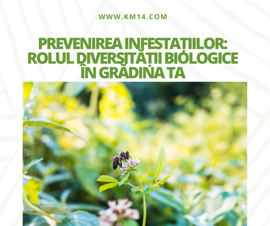 Prevenirea Infestațiilor: Rolul Diversității Biologice în Grădina Ta