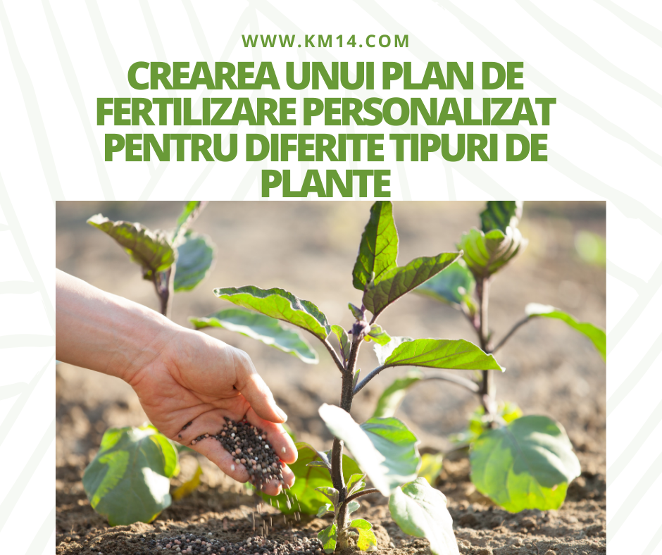 Crearea unui Plan de Fertilizare Personalizat pentru Diferite Tipuri de Plante
