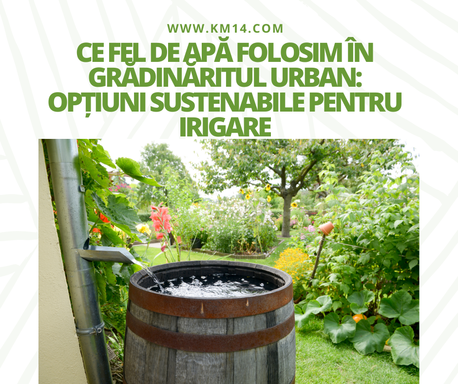 Ce Fel de Apă Folosim în Grădinăritul Urban: Opțiuni Sustenabile pentru Irigare