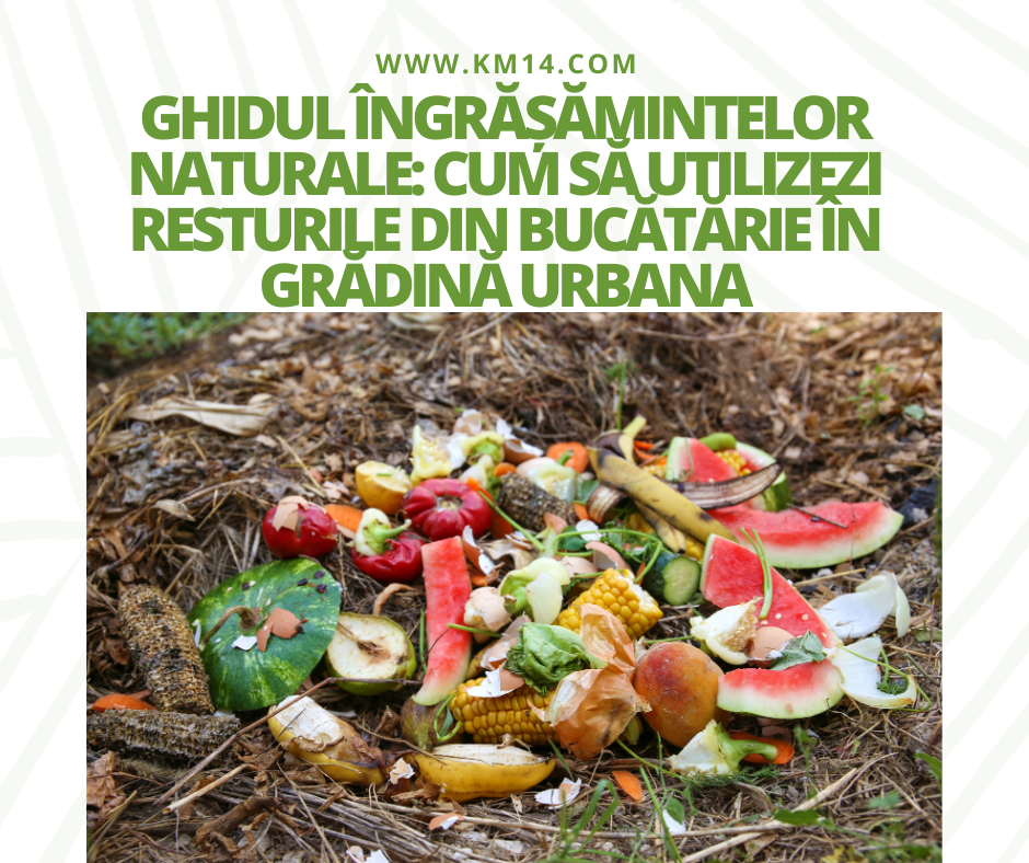 Ghidul Îngrășămintelor Naturale: Cum Să Utilizezi Resturile din Bucătărie în Grădină Urbana