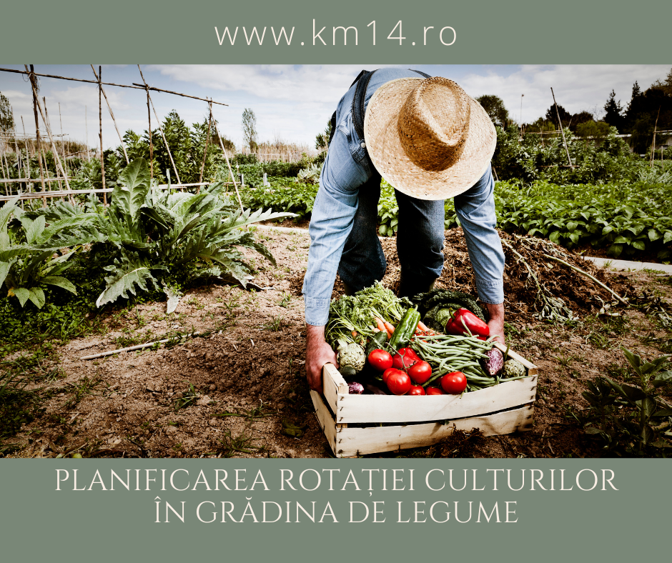 Planificarea Rotației Culturilor în Grădina de Legume