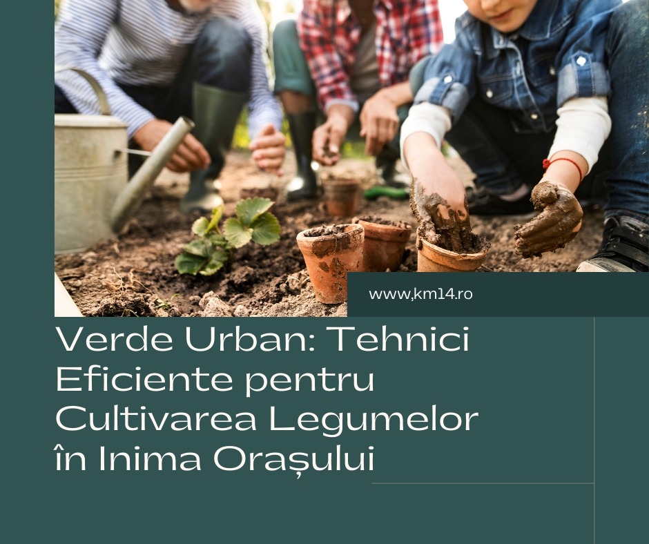 Verde Urban: Tehnici Eficiente pentru Cultivarea Legumelor în Inima Orașului