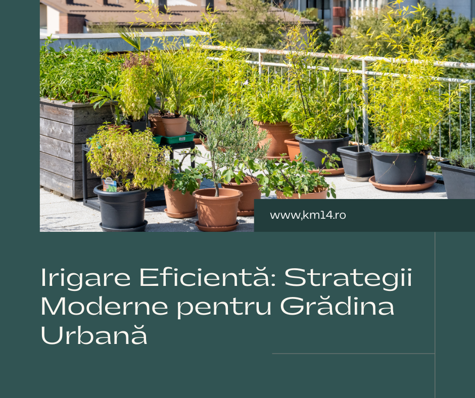 Irigare Eficientă: Strategii Moderne pentru Grădina Urbană