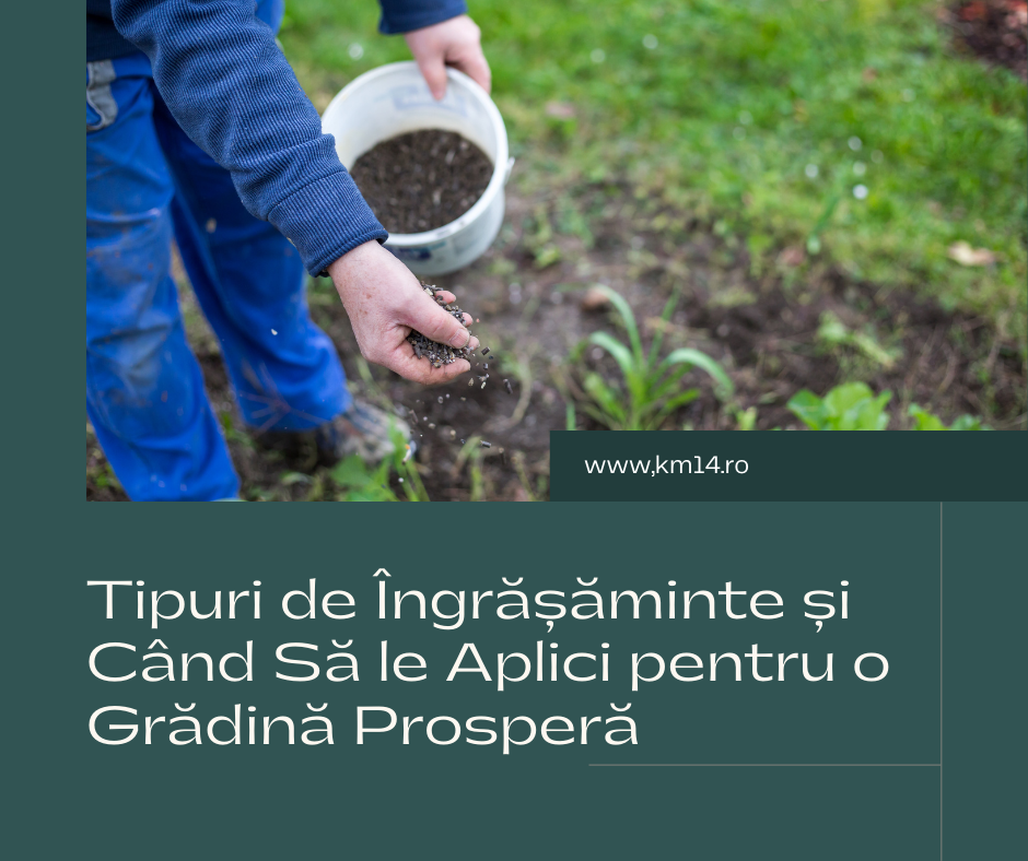 Tipuri de Îngrășăminte și Când Să le Aplici pentru o Grădină Prosperă