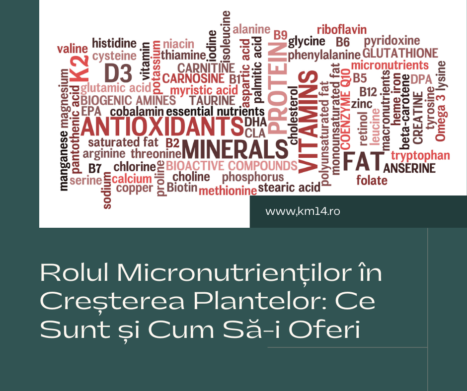 Rolul Micronutrienților în Creșterea Plantelor: Ce Sunt și Cum Să-i Oferi