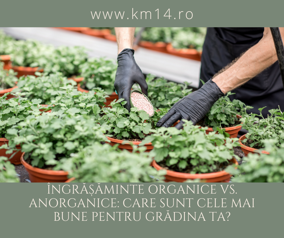 Îngrășăminte Organice vs. Anorganice: Care Sunt Cele Mai Bune pentru Grădina Ta?